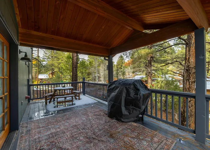 Modern Mountain With Wall-of-windows Forest Views. *